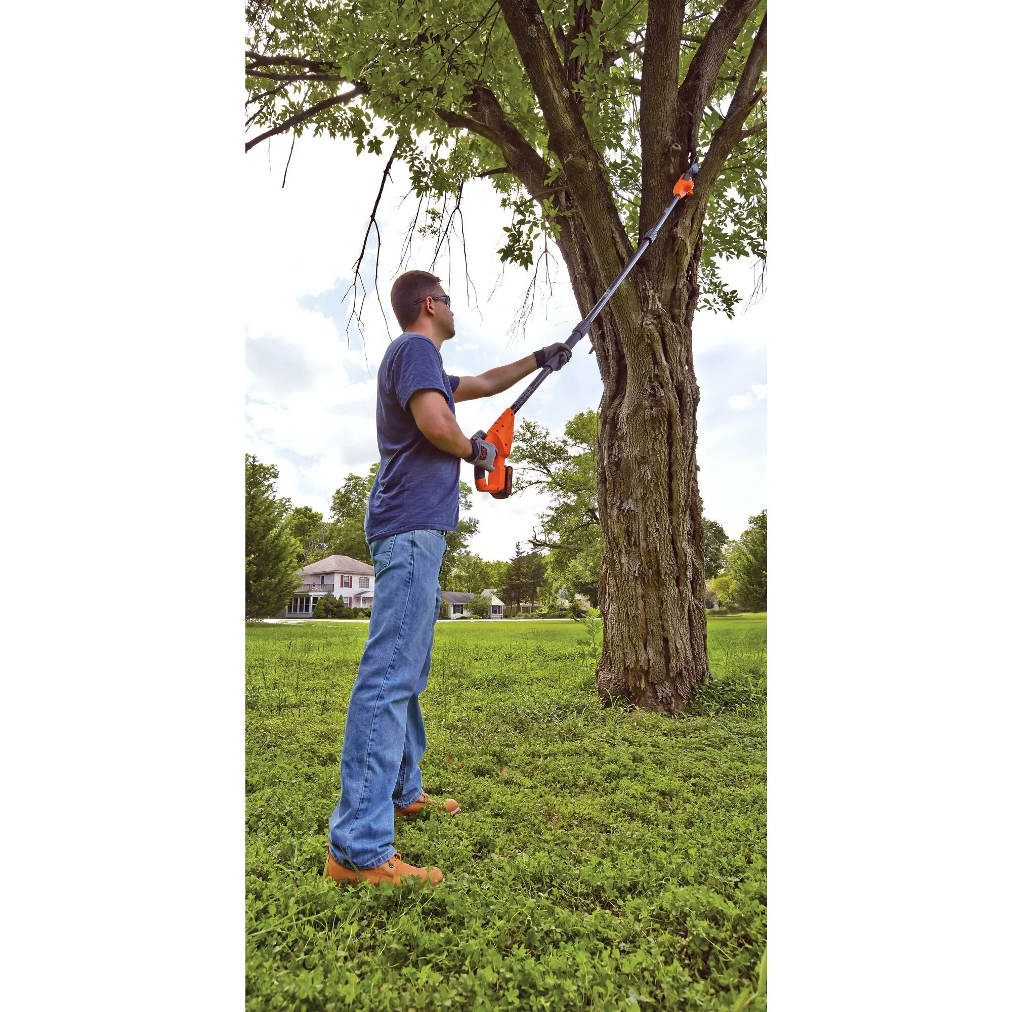 20V MAX* Pole Saw, 8-Inch, Cordless