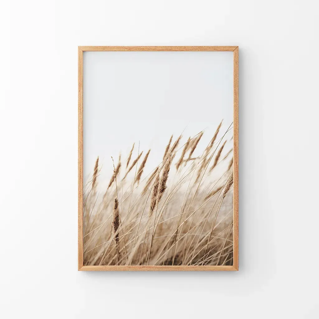 Bohemian Pampas Grass Print. Nature Inspired Theme