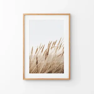 Bohemian Pampas Grass Print. Nature Inspired Theme