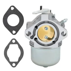 Hipa 694526 Carburetor For 690119 690118 690115 690111 499029 Briggs and Stratton 19G400 19G412 192402 192407 192412 192417 Engine # 693356 695503