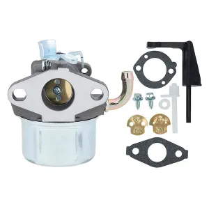 Hipa 798653 Carburetor for Briggs & Stratton 698859 694508 110432 110492 110412 Engine Replace 697354 795069 698860 791077 696981