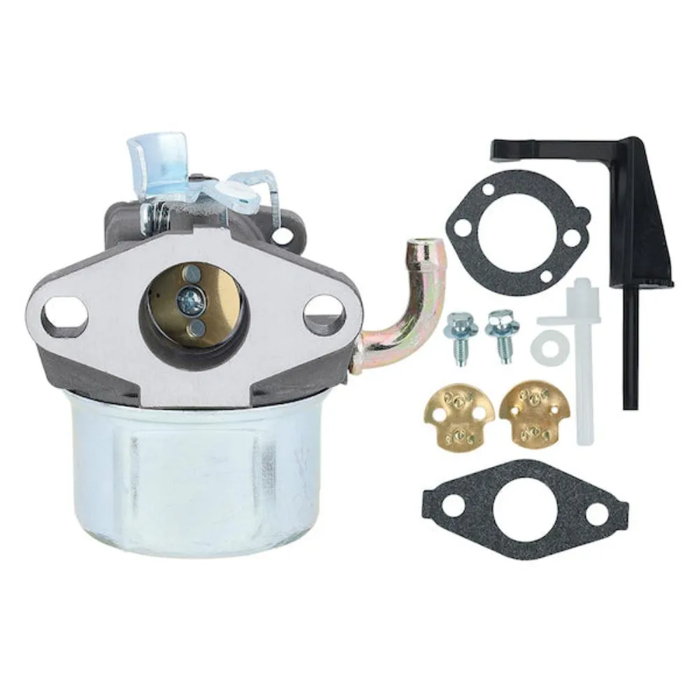 Hipa 798653 Carburetor Kit for Briggs & Stratton 697354 790290 791077 698860 5.5HP 6HP 110432 110492 110412 111432 Engine Lawn mower