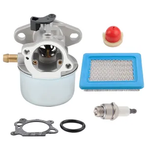 Hipa 799868 Carburetor Kit for Briggs Stratton 6.0 650 Series 190cc Engine 497586 498170 498254 497314 497347 694202 693909 692648 498255 498966 Mower