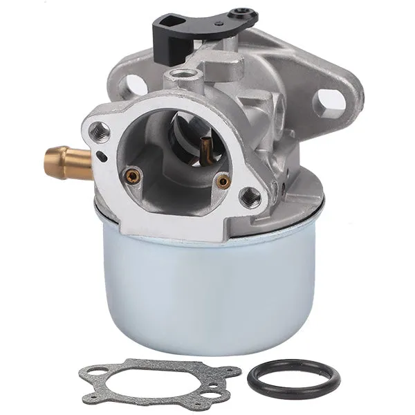 Hipa 799868 Carburetor Kit for Briggs Stratton 6.0 650 Series 190cc Engine 497586 498170 498254 497314 497347 694202 693909 692648 498255 Motor Mower