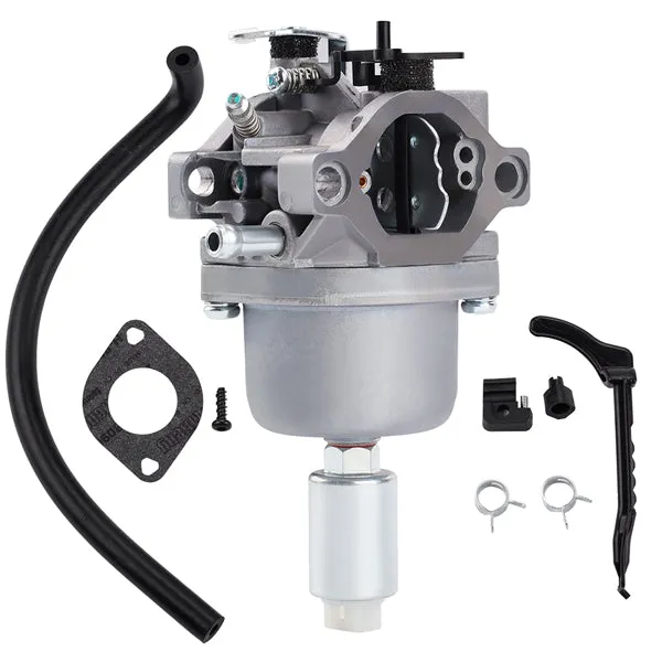 Hipa Carburetor Kit for Briggs & Stratton 796109 699937 697190 697141 792171 792358 791858 793224 698445 Engine/Lawn Tractor