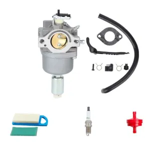 Hipa Carburetor Kit for Briggs & Stratton 796109 699937 697190 697141 792171 792358 791858 793224 698445 Engine/Lawn Tractor