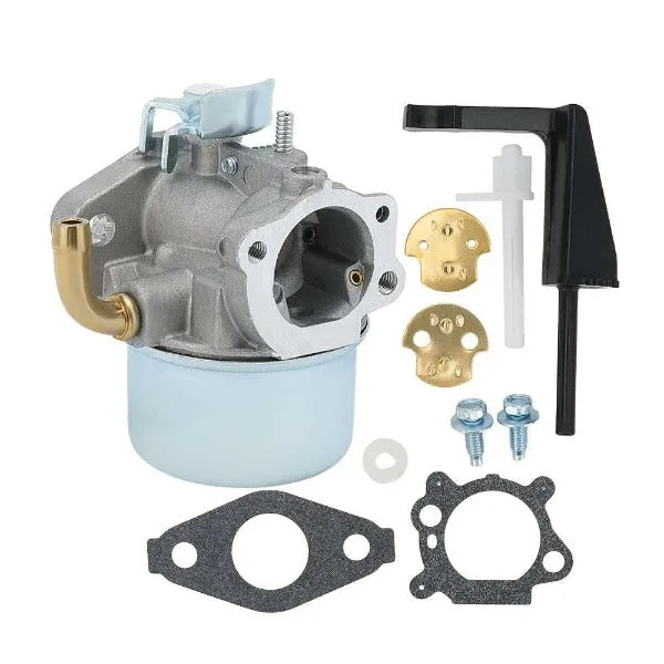 Hipa Carburetor Kit for Briggs & Stratton 798653 697354 795069 698860 790290 698859 696981 5.5HP 6HP 110432 110492 110412 111432 Engine Lawn Mower