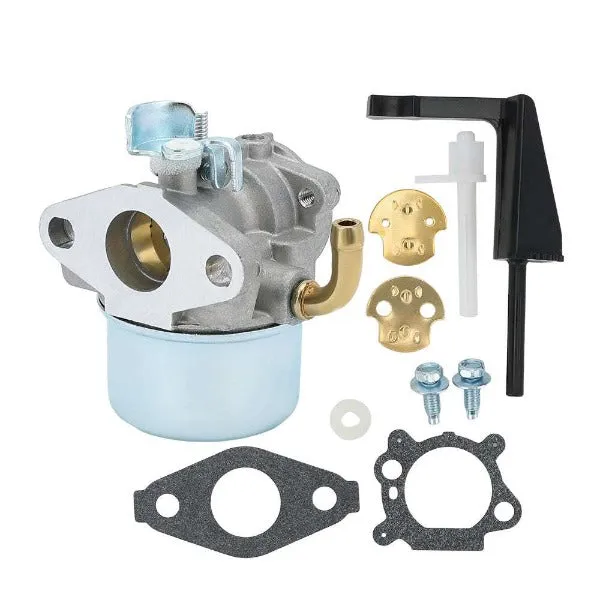 Hipa Carburetor Kit for Briggs & Stratton 798653 697354 795069 698860 790290 698859 696981 5.5HP 6HP 110432 110492 110412 111432 Engine Lawn Mower