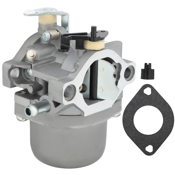 Hipa Carburetor Kit for Briggs & Stratton 799728 498027 499161 289707 28A702 28A707 28B702 28B705 28B706 28B707 12.5HP Engine Mower   496894S Filter