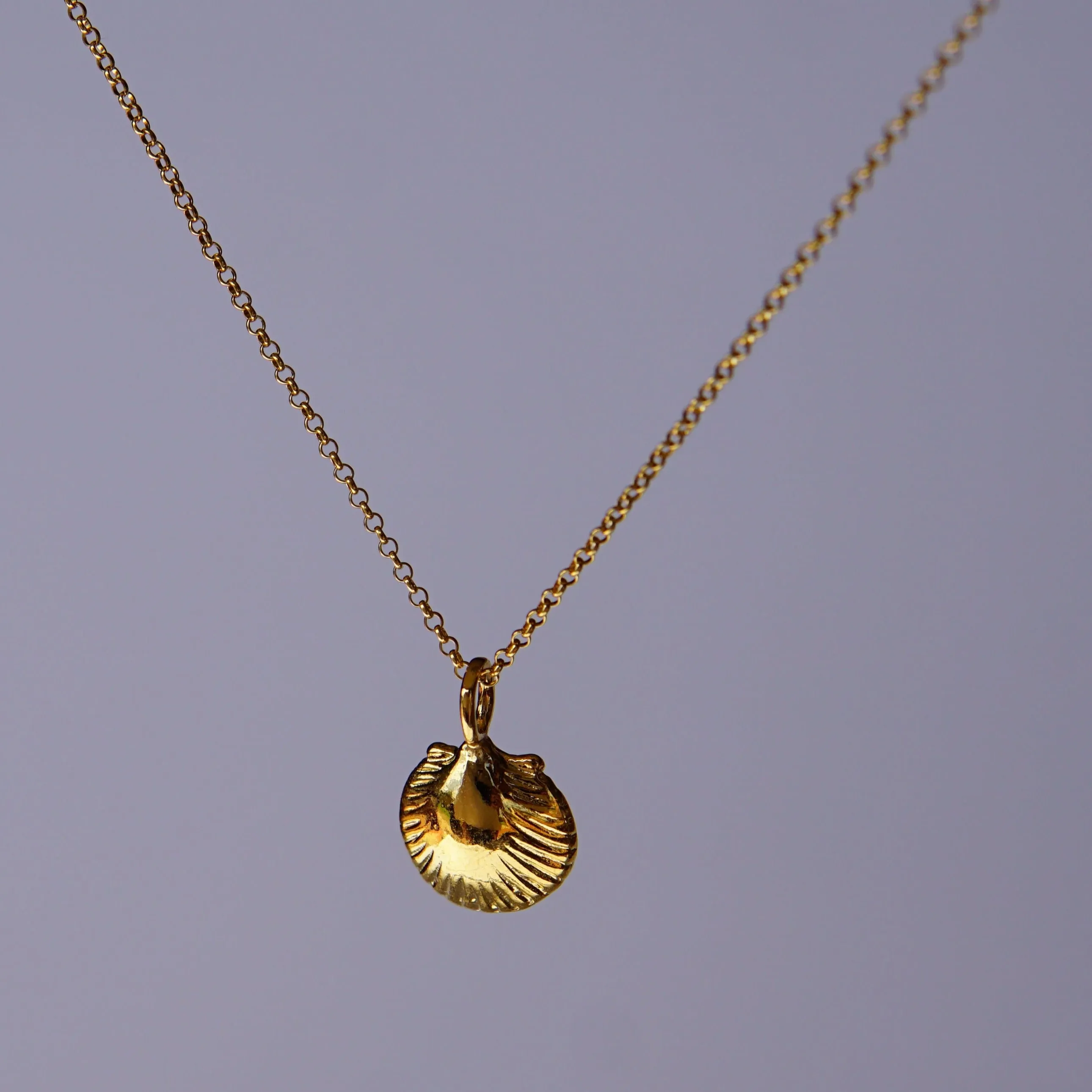 Scallop Shell Pendant Necklace