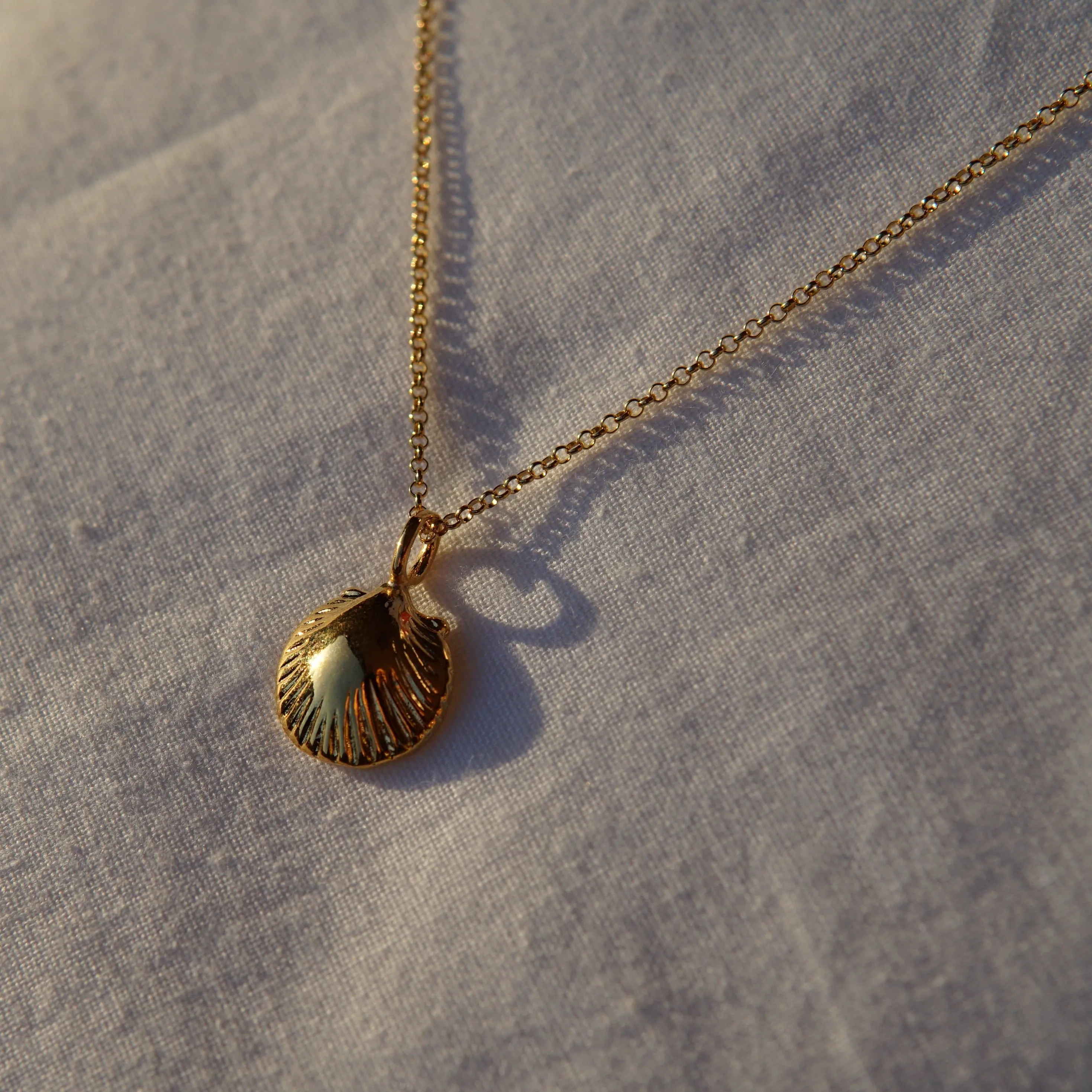 Scallop Shell Pendant Necklace