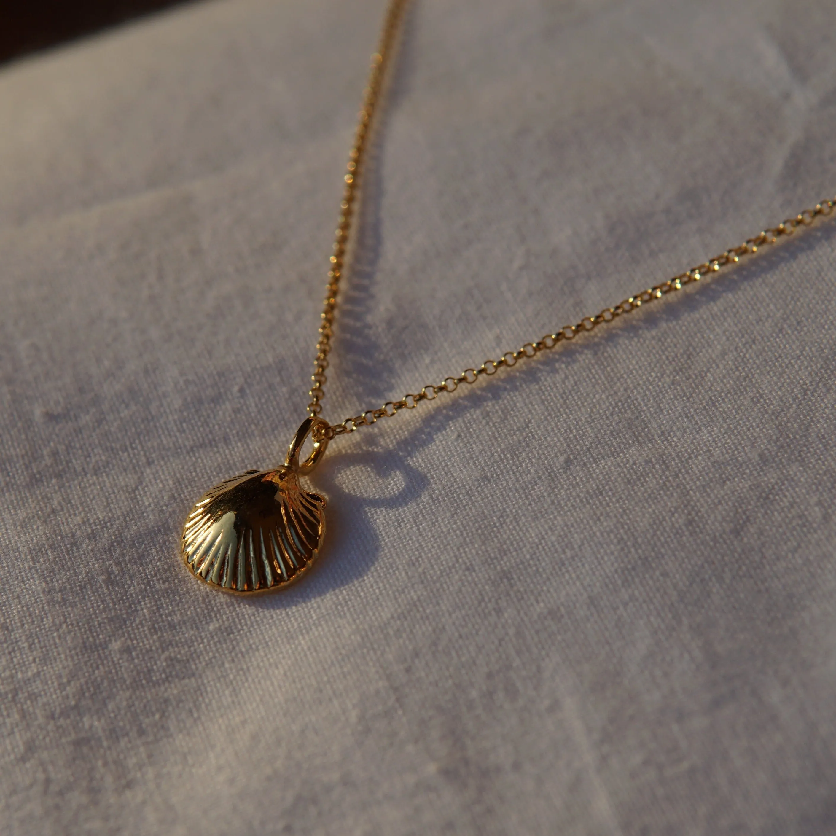 Scallop Shell Pendant Necklace