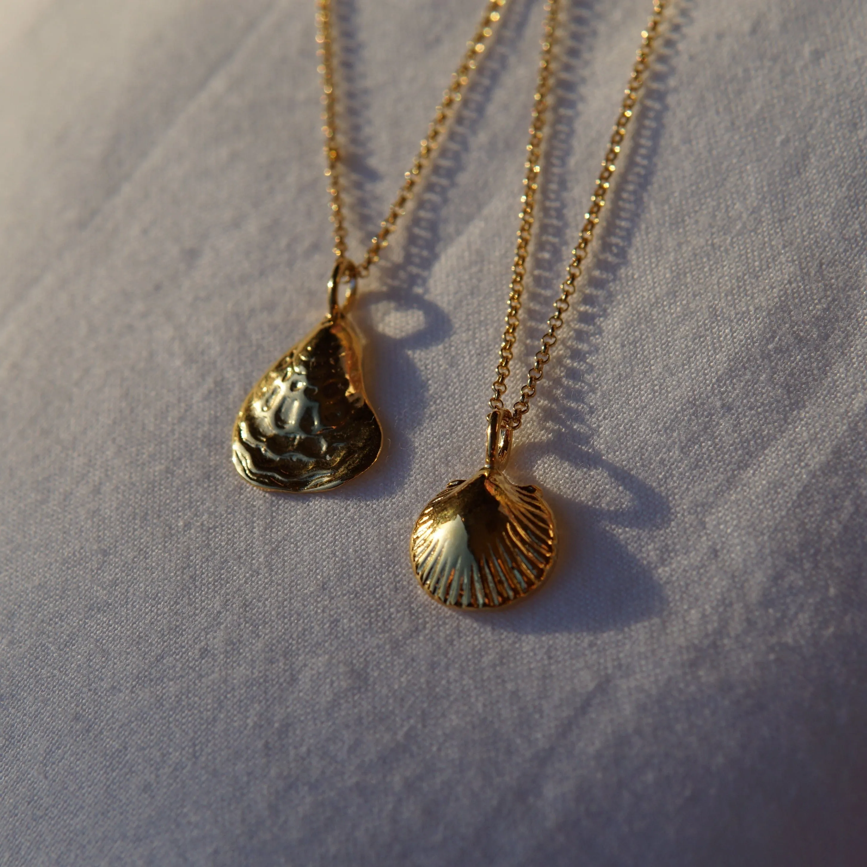 Scallop Shell Pendant Necklace