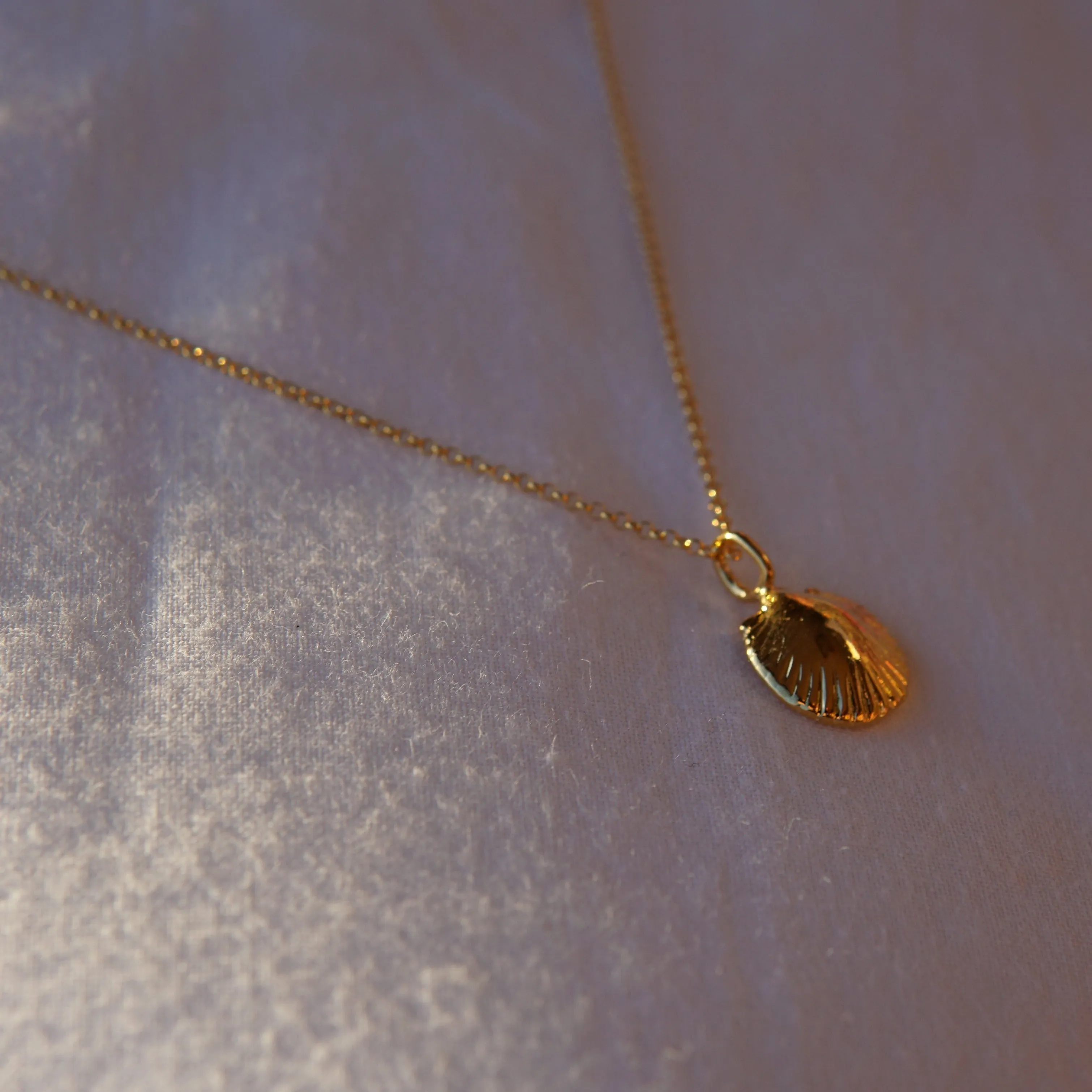 Scallop Shell Pendant Necklace