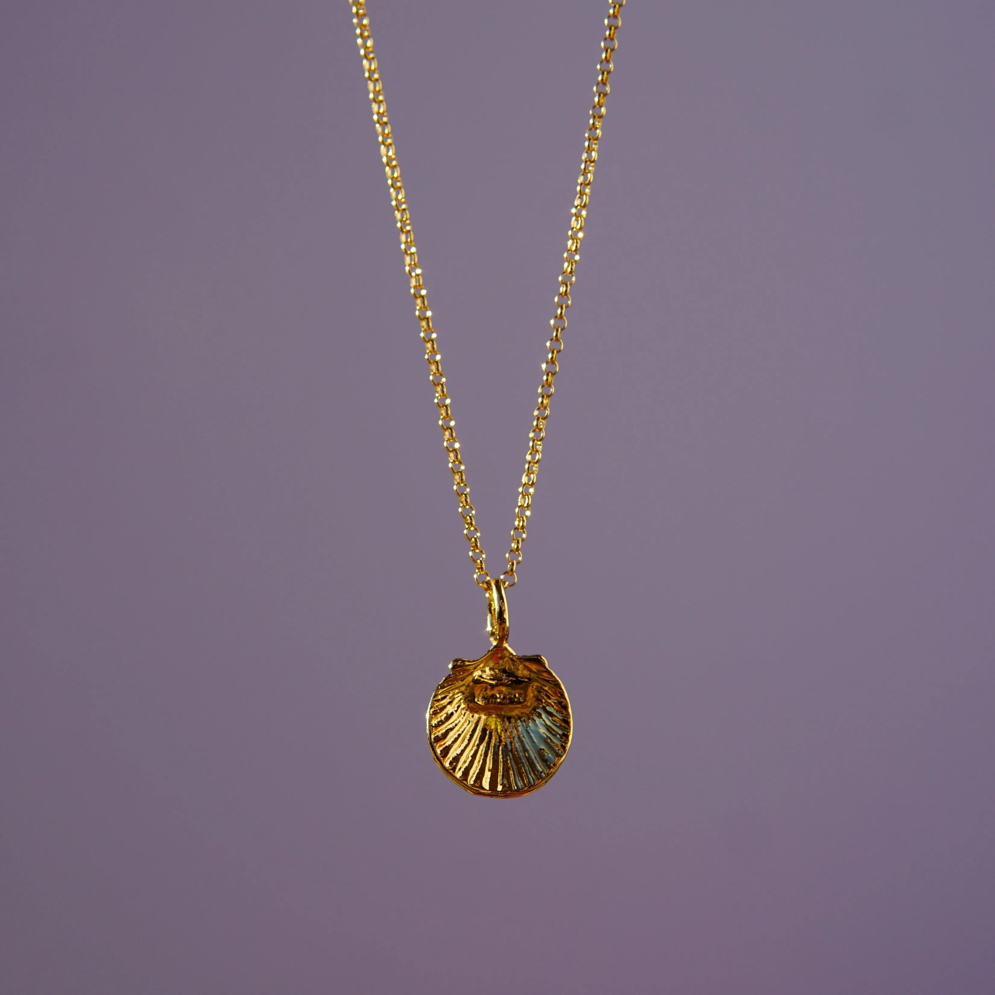 Scallop Shell Pendant Necklace