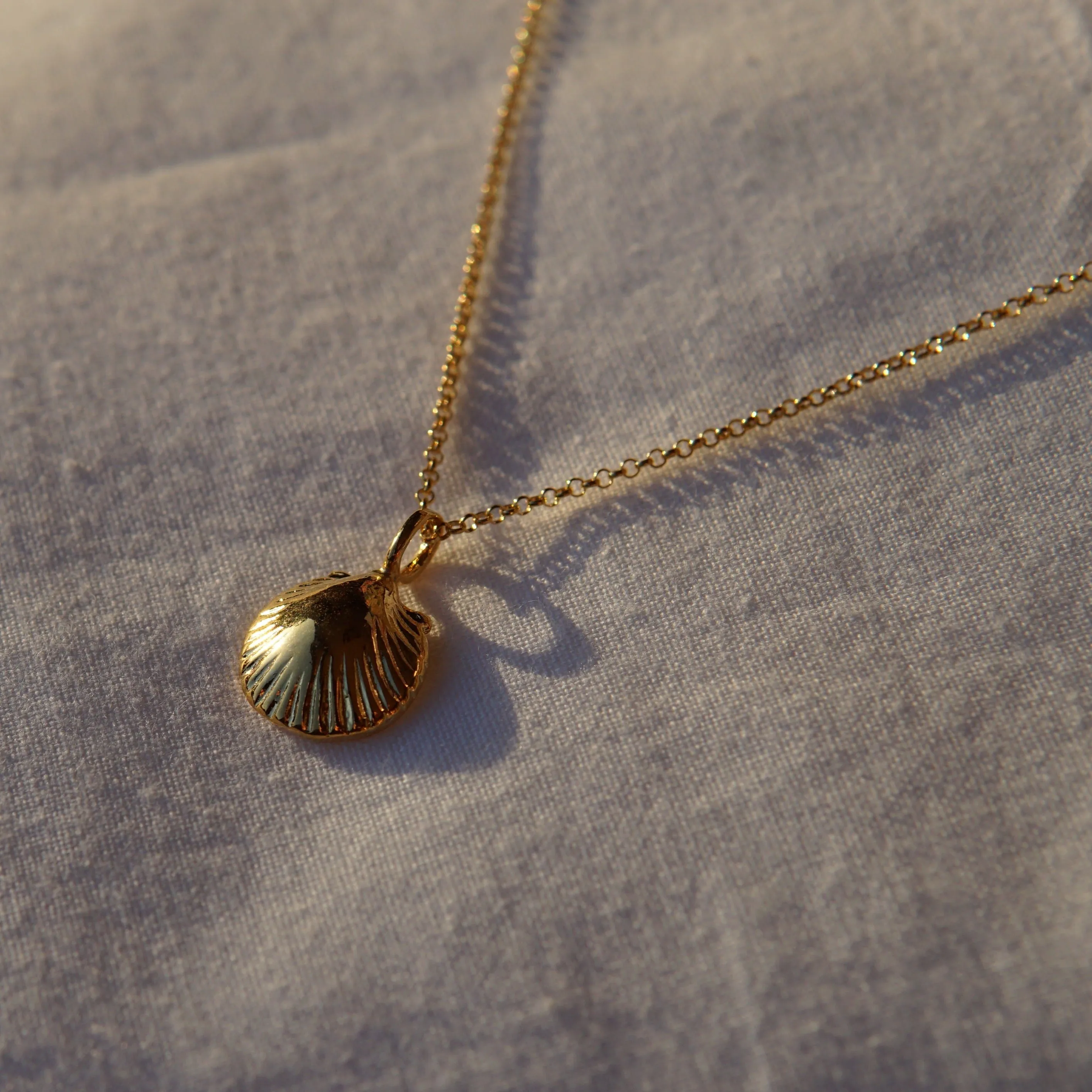 Scallop Shell Pendant Necklace