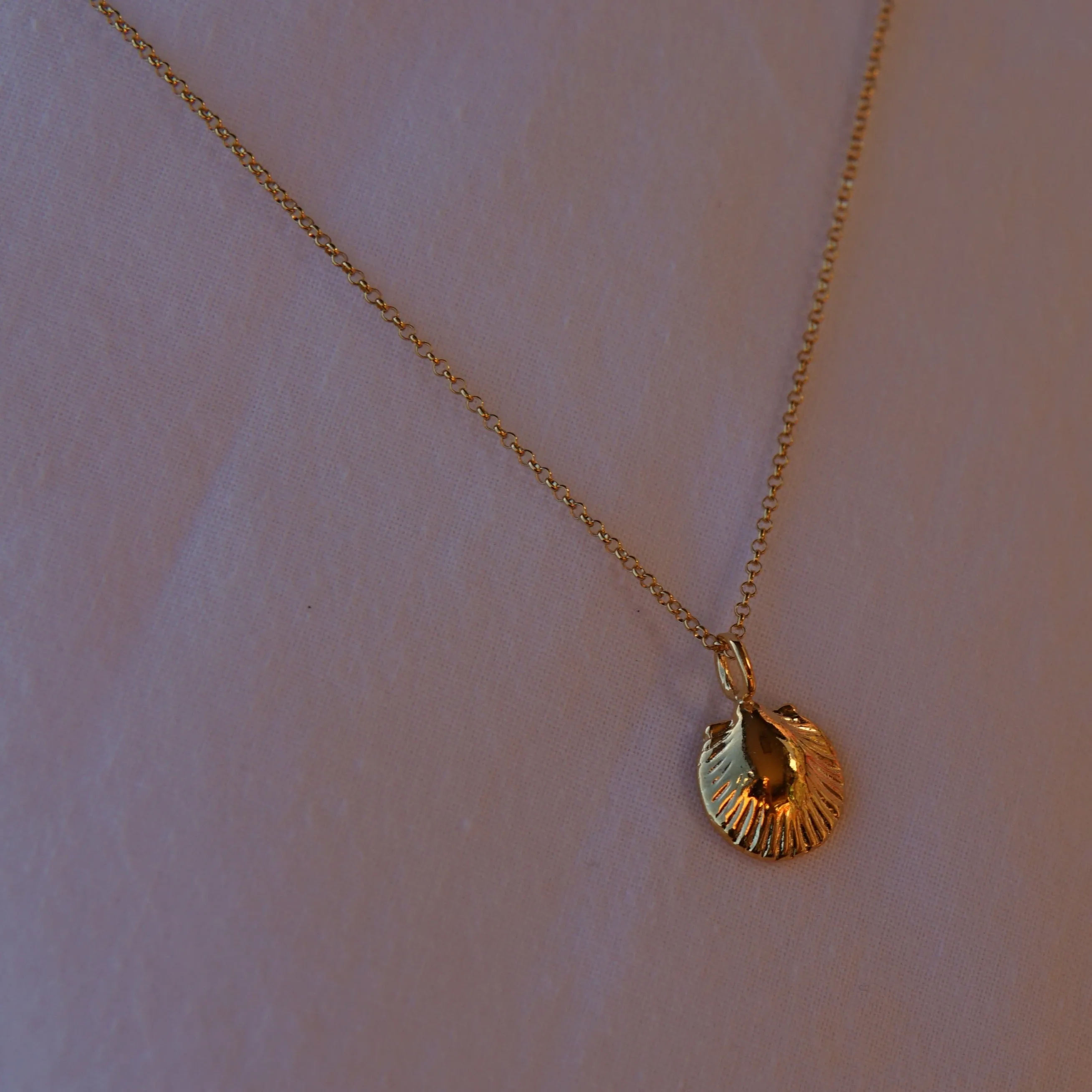 Scallop Shell Pendant Necklace