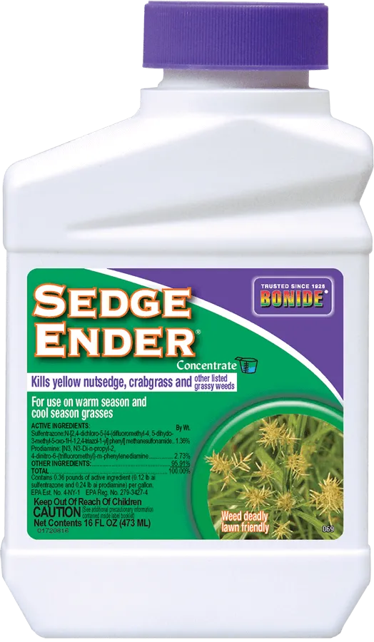 Sedge Ender Concentrate